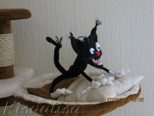 Male cat ARISTARH black  buy in the online store