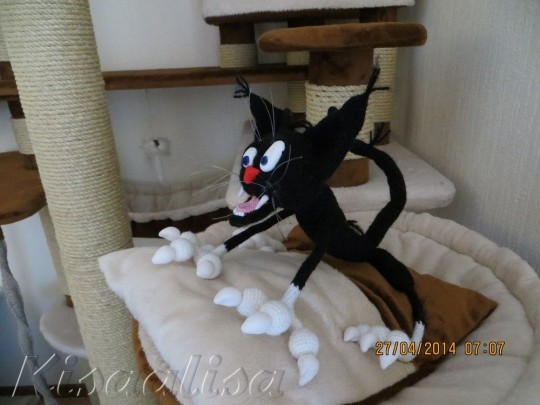 Male cat ARISTARH black  buy in the online store