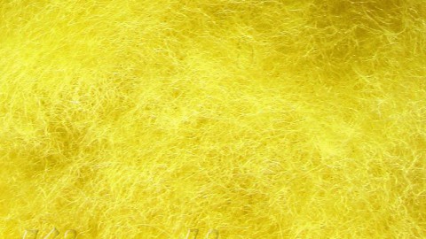 k2006 Кардочес желтый (лимонный)  купить в интернет-магазине