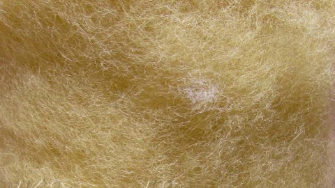 k2007 Wool for felting beige dark  buy in the online store