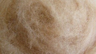 k4006 Wool for felting sand (body)  buy in the online store