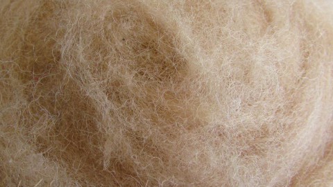 k4006 Wool for felting sand (body)  buy in the online store