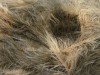 ice-faux-fur-color-khaki-cream-02